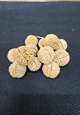 Fava De Ossae - Umbanda E Condomblé