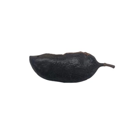 Fava De Ogum - Umbanda E Condomblé