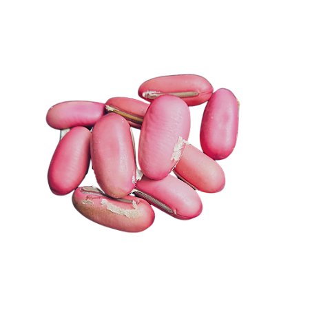 Fava De Ogum - Umbanda E Condomblé
