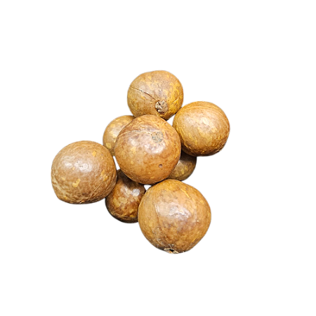 Fava De Guian - Umbanda E Condomblé