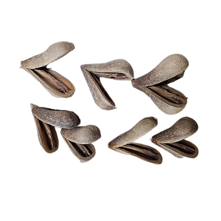 Fava Opele Ifa - Umbanda E Candomblé
