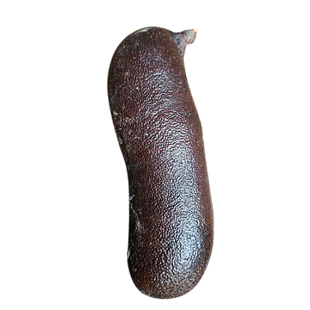 Fava De Jatobá - Unidade