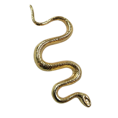 Cobra Dourada Para Assentamento