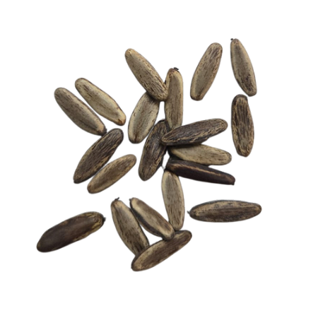 Fava Oxumare - Unidade