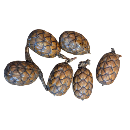 Fava Pinha Oxossi - Unidade