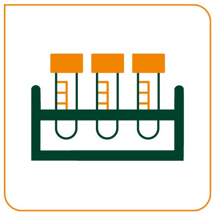 SOMATOMEDINA C - IGF - 1