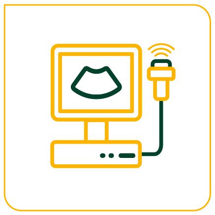 USG  OBSTÉTRICA COM DOPPLER COLORIDO