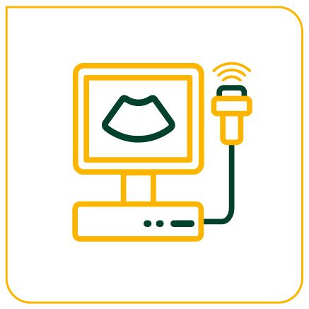 USG  OBSTÉTRICA GESTAÇÃO MÚLTIPLA COM DOPPLER COLORIDO