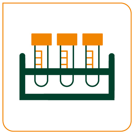 MYCOBACTERIUM TUBERCULOSIS - DETECÇÃO POR PCR