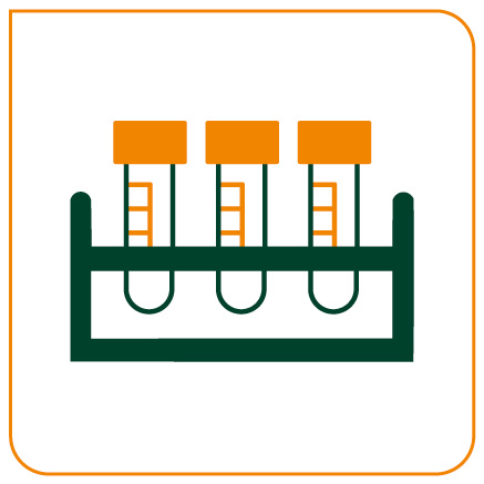BCRABL QUANTITATIVO P210  SANGUE TOTAL