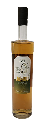 Bebida mista Rein - Jambu e banana - 700ml