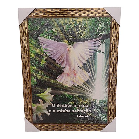 Quadro Decorativo Salmo 27:1 Religioso 35x45cm