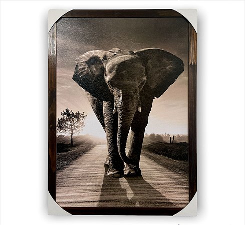Quadro Decorativo Elefante Safári África 50x70 Cm