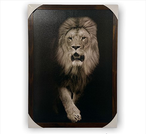 Quadro Decorativo Imagem Leão Rei da Selva 50x70 Moldurado