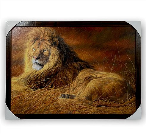 Quadro Decorativo Leão Selvagem Deitado  50x70cm Moldurado
