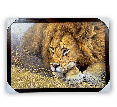 Quadro Decorativo Leão Deitado Judá Paisagem 50x70 Moldura
