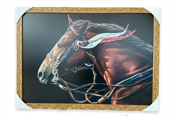 Quadro Decorativo Cavalo 50x70cm Sala Escritório Aras Fazend