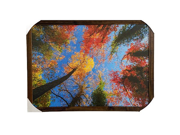 Quadro Decorativo Paisagem Ypê Árvores Floridas 50x70cm