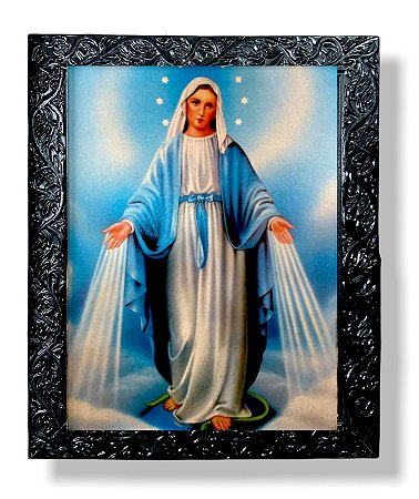 Nossa Senhora Das Graças Quadro Decorativo Resinado 25x30
