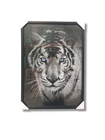 Quadro Decorativo Tigre Branco Caixa Alta Com Vidro 50x70cm