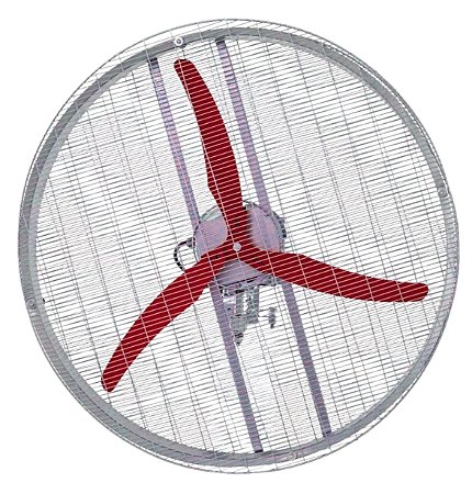 VENTILADOR INDUSTRIAL AG36 3P NR12 MOTOR WEG 0,5CV TRIFÁSICO
