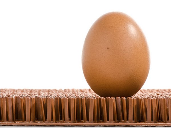 TAPETE PLÁSTICO PARA NINHO AUTOMÁTICO 1200X465MM ASTROTURF (IMPORTADO)