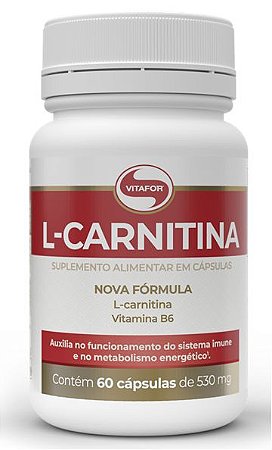 L-Carnitina Fort 60 caps - Vitafor