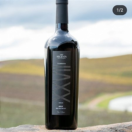Vinho Tinto Merlot 2022 Terroir XXVII  Luiz Argenta