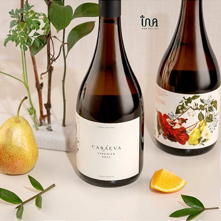Vinha Branco Sentidos Viognier 2023 Casa Eva