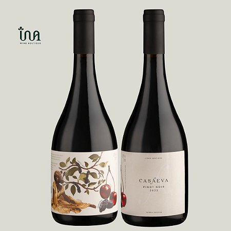 Vinho Tinto Sentidos Pinot Noir 2022 Casa Eva