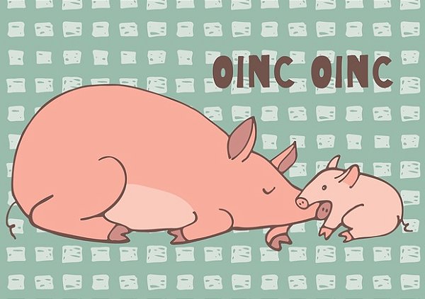 ilustração de porquinhos