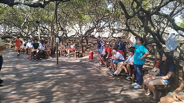 ROTEIRO PEDAGÓGICO (8º Ano) - Rio Grande do Norte