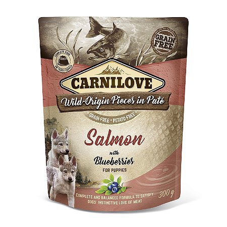 PATÊ POUCH 300G - ALIMENTO ÚMIDO PARA FILHOTES SALMÃO COM BLUEBERRIES - CARNILOVE