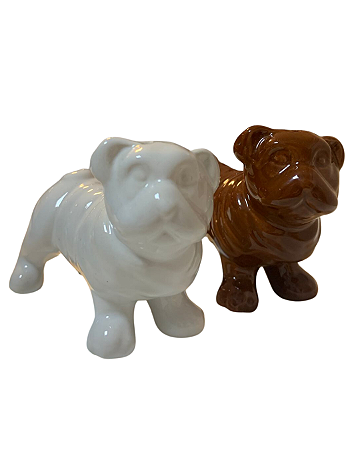 Saleiro de Cão