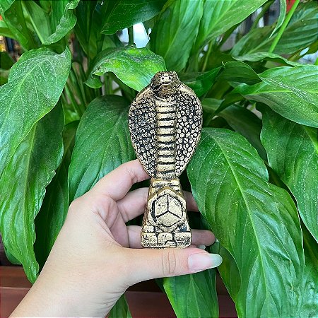 Cobra Naja P