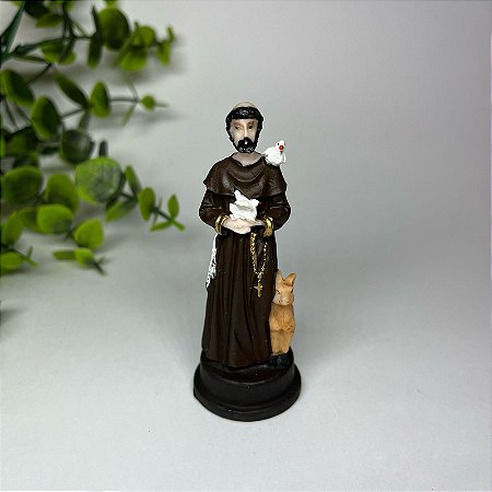 Imagem de São Francisco P