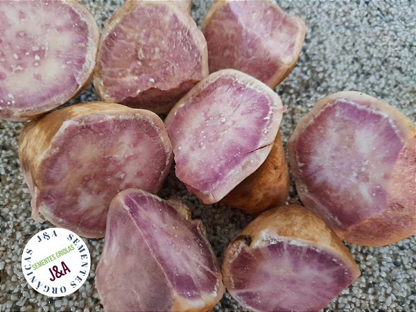 Muda de batata turmalina/ramas