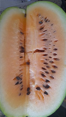 10 sementes de melancia polpa amarela