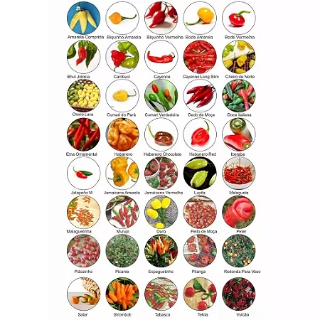 Kit pimentas 40 variedades sementes