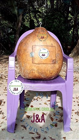 30 sementes de cabaça africana gigante