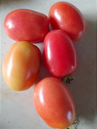 Tomatinho cereja