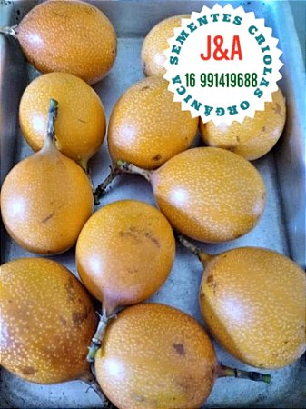 20 sementes granadilha