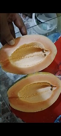 5 sementes de mamão com pouca sementes partenocarpia