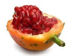 20 sementes de passiflora caerulia