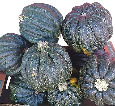 20 sementes mogango sul Minas