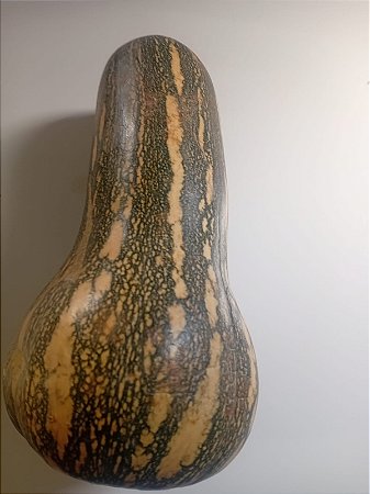 50 sementes de abóbora tropicana