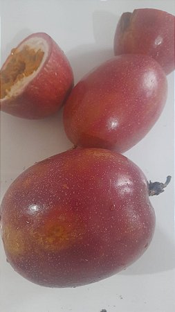 50 SEMENTES DE MARACUJA ROXO AZEDO GRAUDO