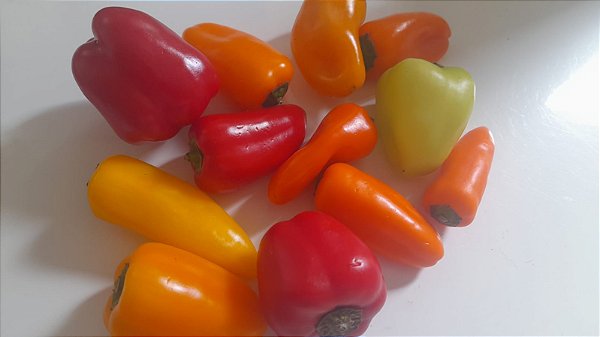 30 sementes mix mine pimentões