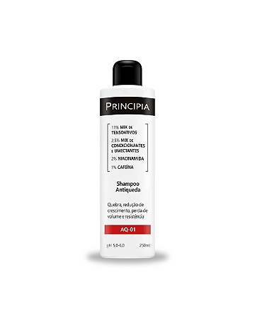 Shampoo Antiqueda Principia AQ 01 250ml