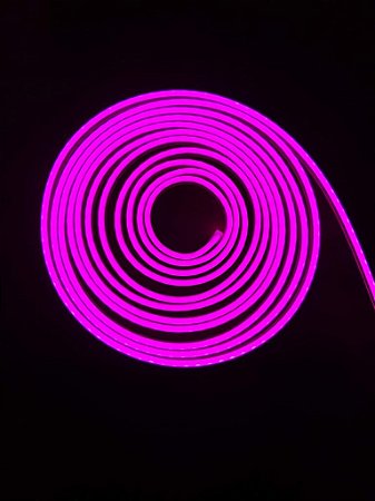 Neon Flex Roxo 5 metros